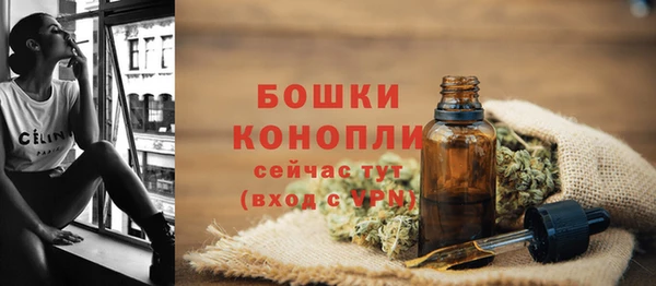 mdpv Гусев