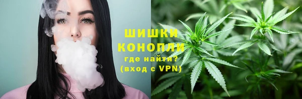 гашик Апатиты