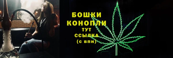 apvp Гусиноозёрск