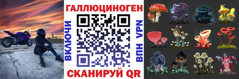 Псилоцибиновые грибы Psilocybine cubensis  Касли 